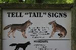 IMG_0140.JPG