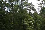 IMG_0157.JPG