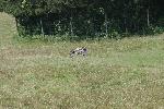 IMG_0183.JPG