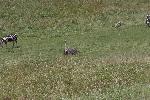 IMG_0186.JPG