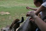 IMG_0320.JPG