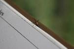 IMG_0327.JPG