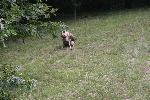 IMG_0354.JPG