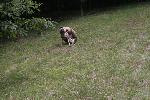 IMG_0356.JPG