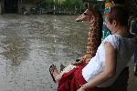 IMG_0517.JPG