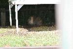 IMG_0682.JPG
