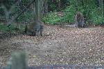 IMG_0713.JPG