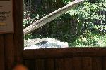 IMG_0738.JPG