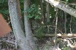IMG_0743.JPG