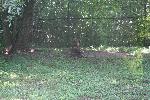 IMG_0760.JPG