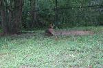 IMG_0762.JPG