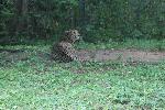 IMG_0763.JPG
