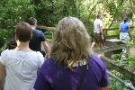 IMG_0787.JPG