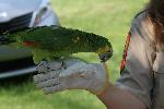 IMG_0817.JPG