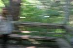 IMG_0876.JPG