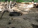 IMG_1178.JPG
