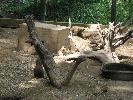 IMG_1179.JPG