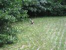 IMG_1182.JPG