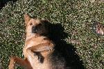 IMG_1456.JPG
