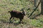 IMG_1473.JPG