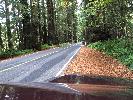 IMG_1475.JPG