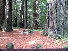 IMG_1477.JPG