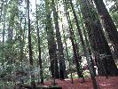 IMG_1483.JPG