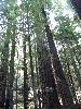 IMG_1484.JPG