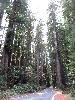 IMG_1487.JPG