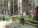 IMG_1490.JPG