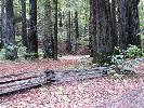 IMG_1503.JPG