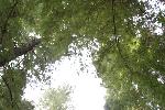IMG_1779.JPG
