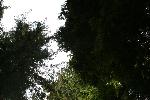 IMG_1781.JPG