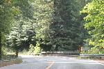 IMG_1788.JPG