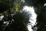 IMG_1800.JPG
