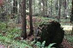 IMG_1801.JPG