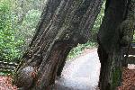 IMG_1807.JPG
