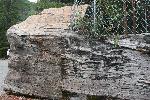 IMG_1816.JPG