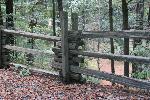 IMG_1832.JPG