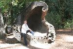 IMG_1852.JPG