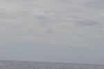 IMG_1879.JPG