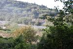 IMG_1575.JPG