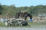 IMG_1436.JPG