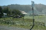 IMG_1438.JPG
