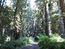 IMG_1400.JPG