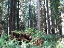 IMG_1413.JPG