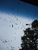 IMG_1557.JPG