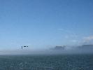 IMG_1591.JPG