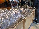 IMG_1193.JPG