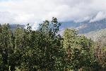 IMG_1128.JPG